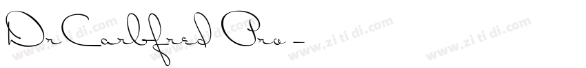 DrCarbfred Pro字体转换